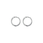 Crystal Charm Silver-Tone Stainless Steel Hoop Earrings