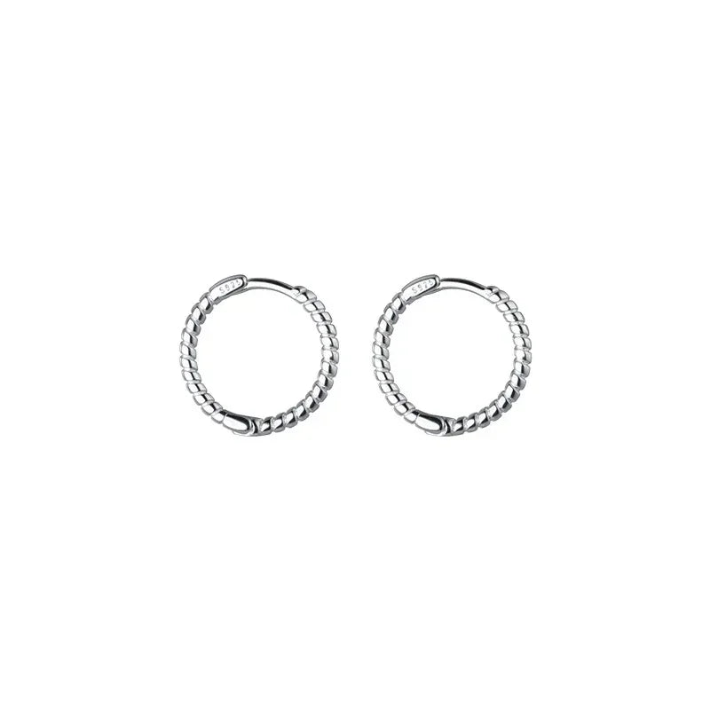 Crystal Charm Silver-Tone Stainless Steel Hoop Earrings
