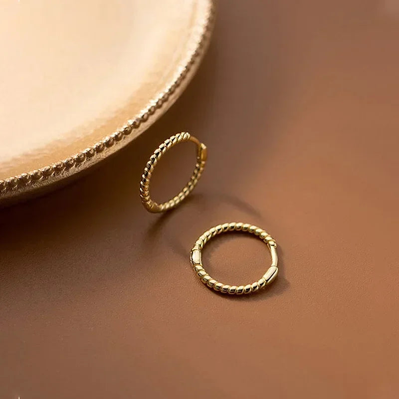 Crystal Charm Silver-Tone Stainless Steel Hoop Earrings